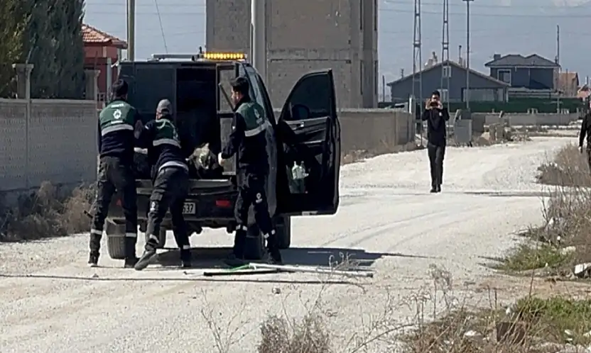 Konya'daki köpek saldırısı faciasında 2 belediye çalışanına soruşturma!