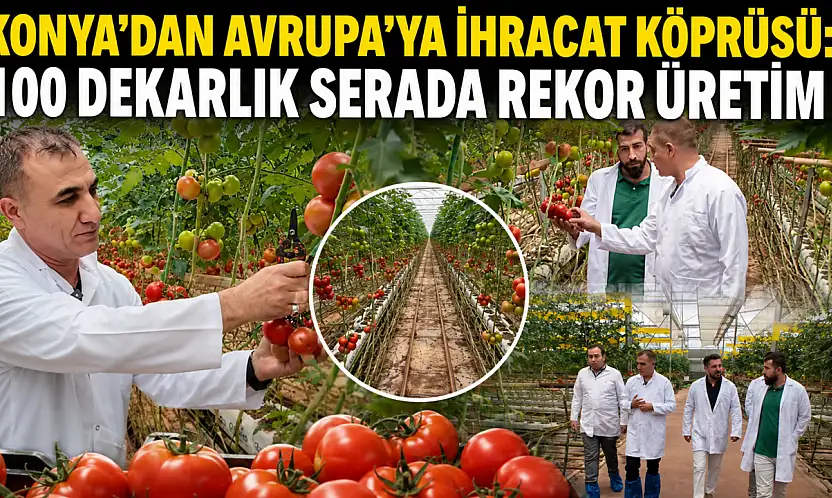 Konya'dan Avrupa'ya ihracat köprüsü: 100 dekarlık serada rekor üretim