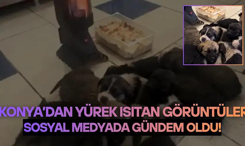 Konya'dan yürek ısıtan görüntüler: Sosyal medyada gündem oldu!