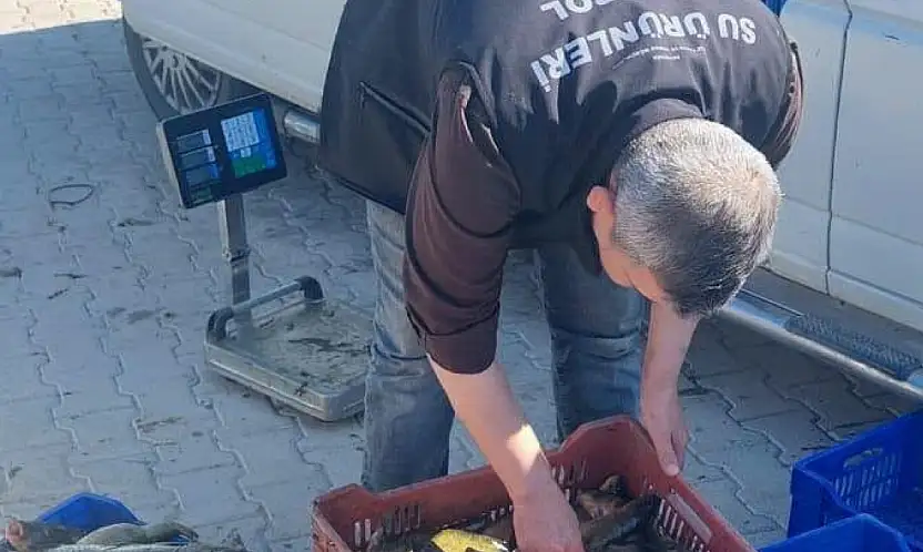 Konya'nın denizinde sıkı takip! Tek tek cetvelle ölçüldü