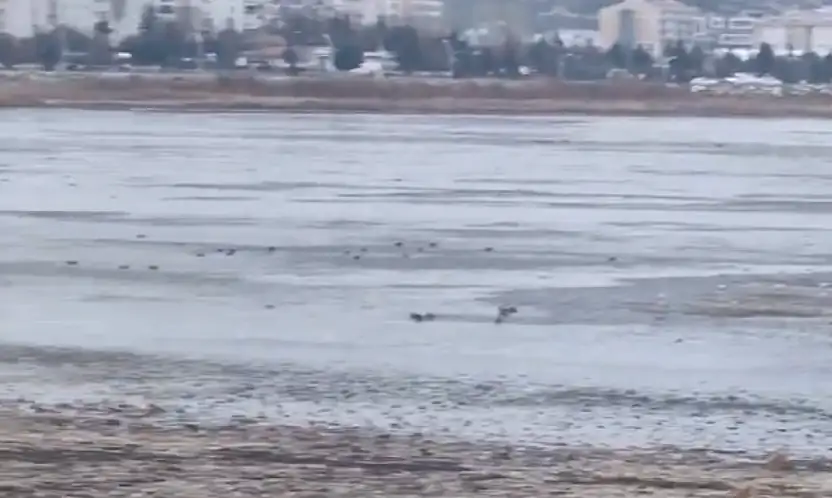 Konya'nın gözbebeği için sevindiren haber: Soylu müjdeyi verdi!
