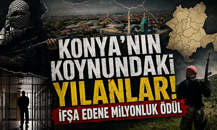 Konya'nın koynundaki yılanlar! İfşa edene milyonluk ödül