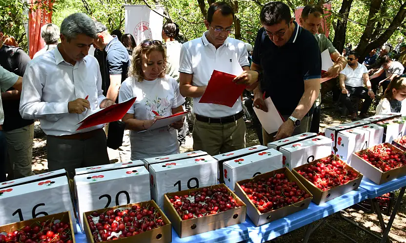 Konya'nın madeni için kollar sıvandı!