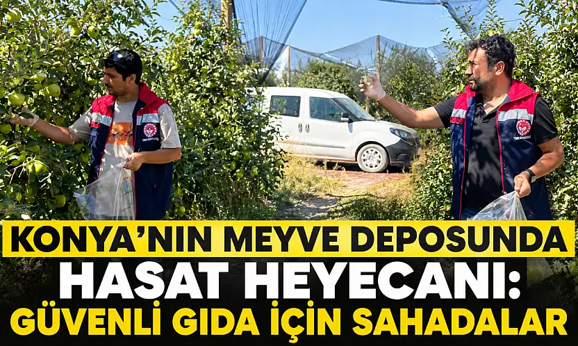 Konya'nın meyve deposunda hasat heyecanı: Güvenli gıda için sahadalar