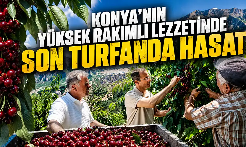 Konya'nın yüksek rakımlı lezzetinde son turfanda hasat