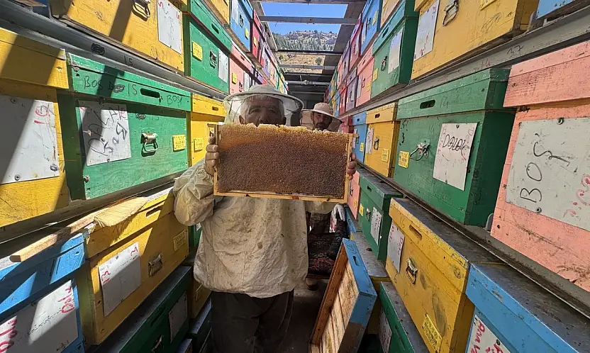 Konya'nın yükseklerinde sıra dışı üretim! 5,5 ton hasat bekleniyor
