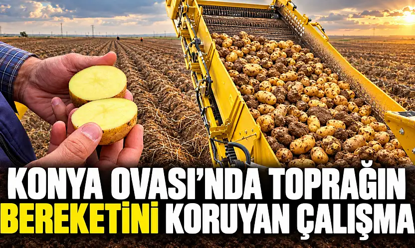Konya Ovası'nda toprağın bereketini koruyan çalışma
