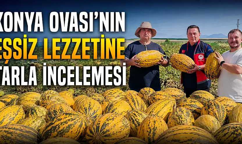Konya Ovası'nın eşsiz lezzetine tarla incelemesi