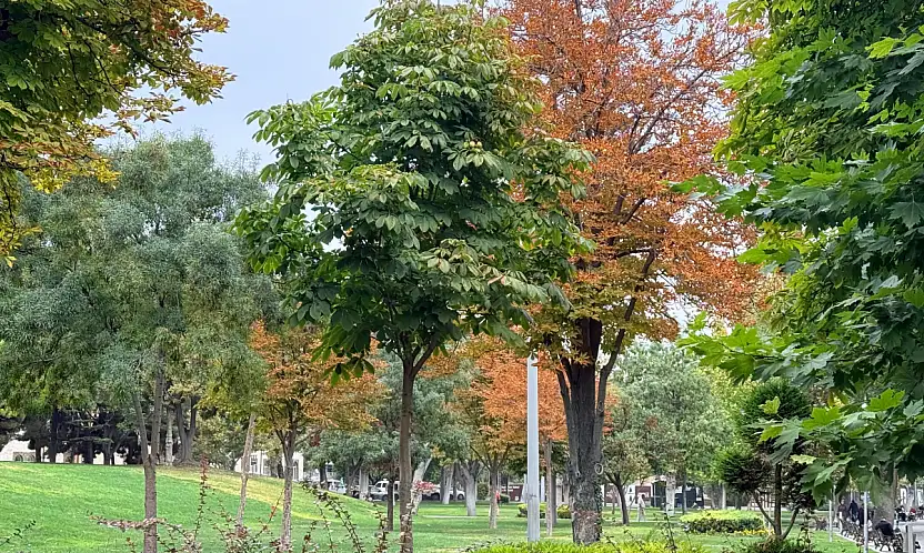 Konya renklerini değiştirdi! Yeşil sarıya dönüyor