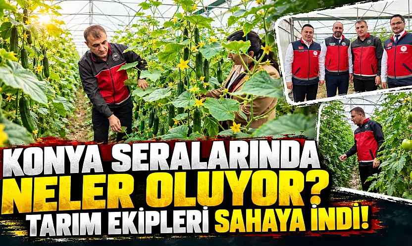 Konya seralarında neler oluyor? Tarım ekipleri sahaya indi!