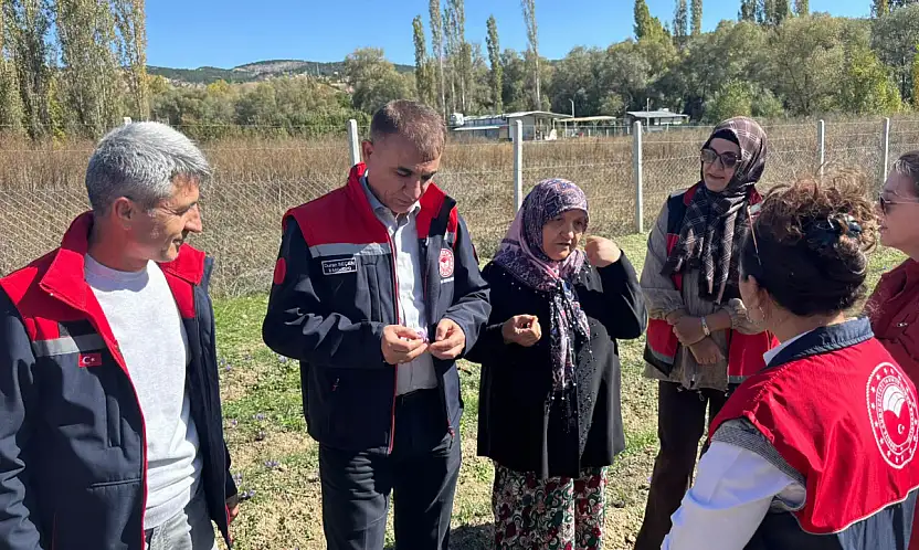 Konya tarımında ürün çeşitliliği artıyor