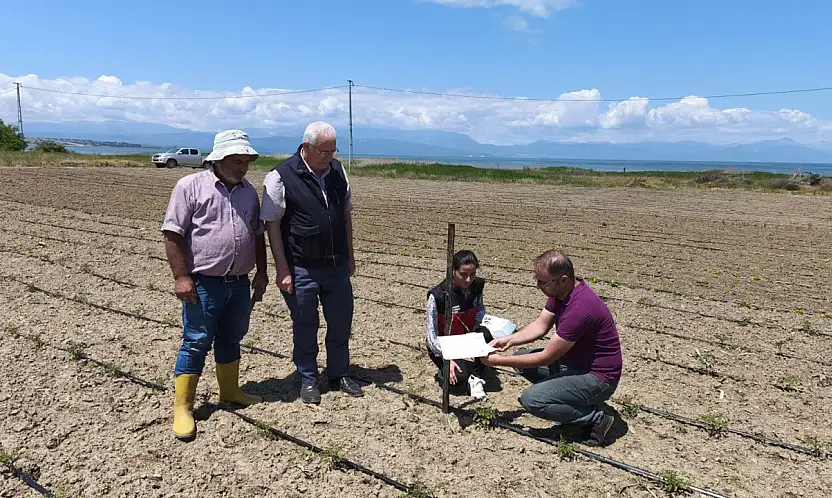 Konya tarlalarına sinsice yaklaşıyor! Genel Müdürlük duyurdu...