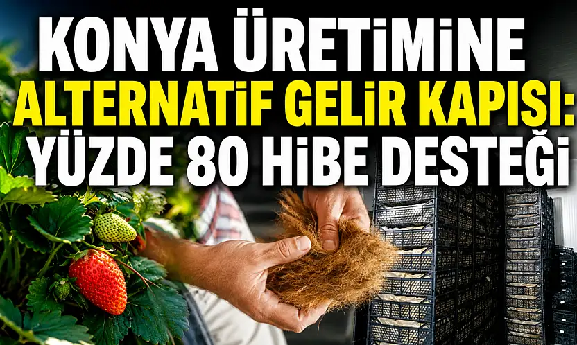 Konya üretimine alternatif gelir kapısı: Yüzde 80 hibe desteği