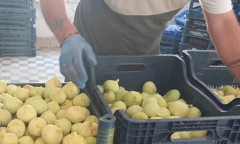 Konyalılar bu lezzette hasret kalacak!