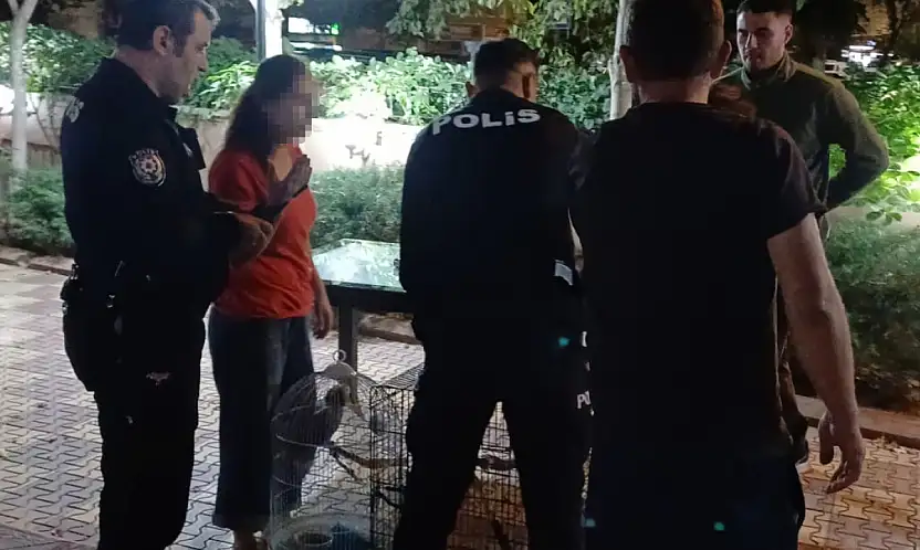Otel odasında satış için bekliyorlardı! 2'sinin adresi Konya oldu