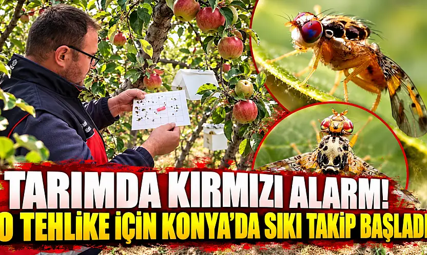 Tarımda kırmızı alarm! O tehlike için Konya'da sıkı takip başladı
