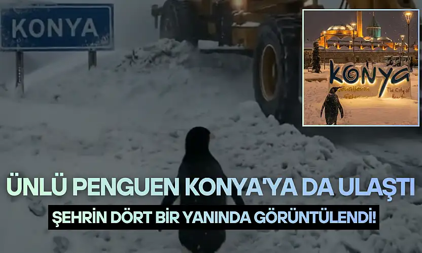 Ünlü penguen Konya'ya da ulaştı: Şehrin dört bir yanında görüntülendi!