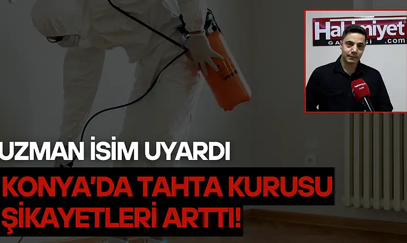 Uzman isim uyardı: Konya'da tahta kurusu şikayetleri arttı!