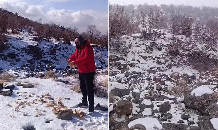 Yürek ısıtan görüntüler! Konya'da kar altında kalan canlar unutulmadı