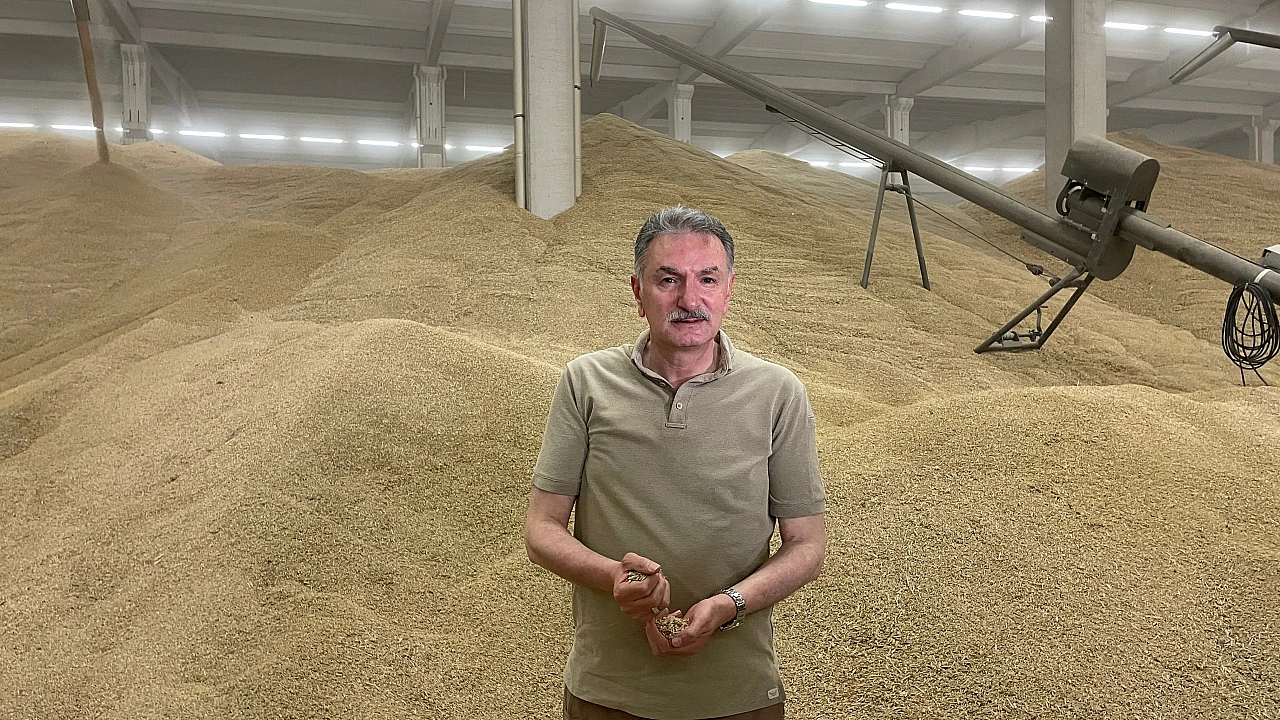 Konya'da günlük 50 ton mahsul elde ediliyor