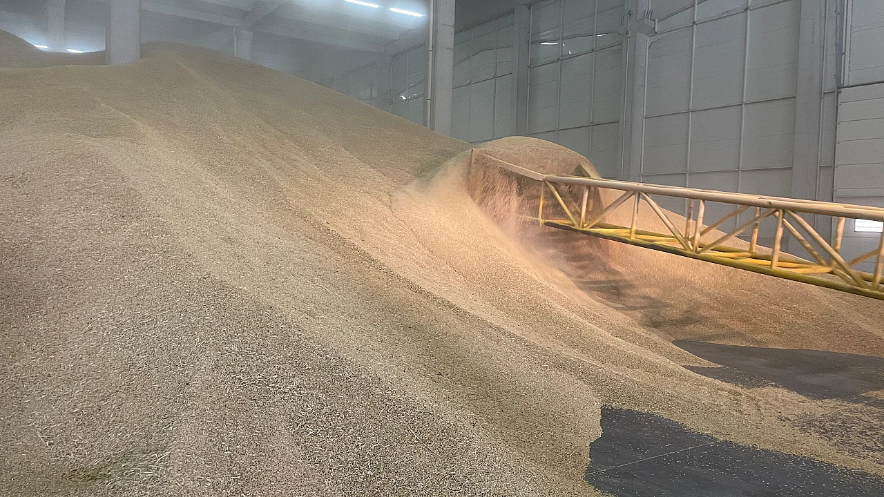 Konya'da günlük 50 ton mahsul elde ediliyor