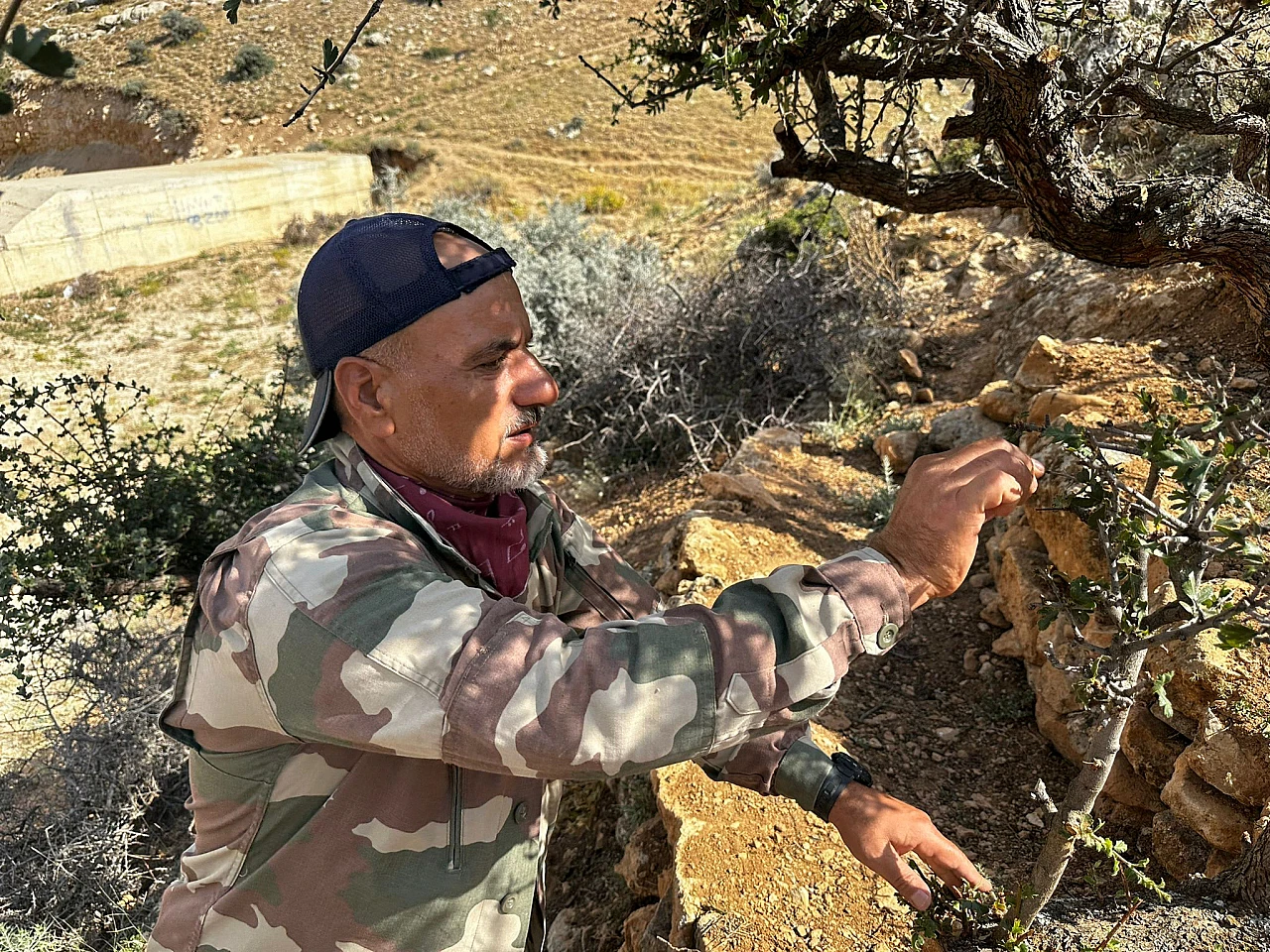 Konyalı vatandaş kendini ağaçların bakımına adadı