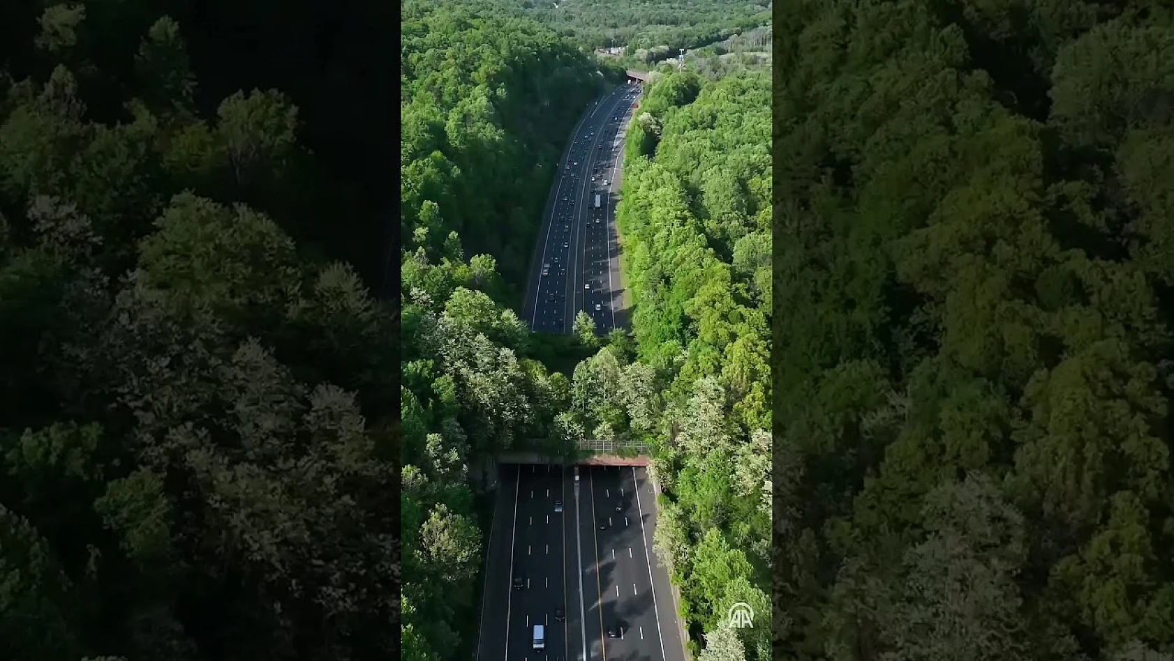 New Jersey'nin 'Ekolojik Köprü'sü doğal hayatı birbirine bağlıyor