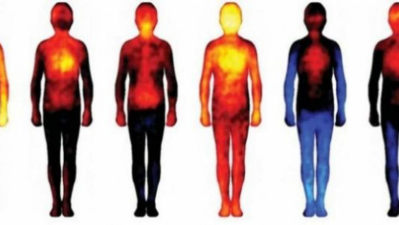 İnsan vücudunun mucizevi ısı üretim mekanizması: Sağlık ve yaşam kalitesi üzerindeki etkileri