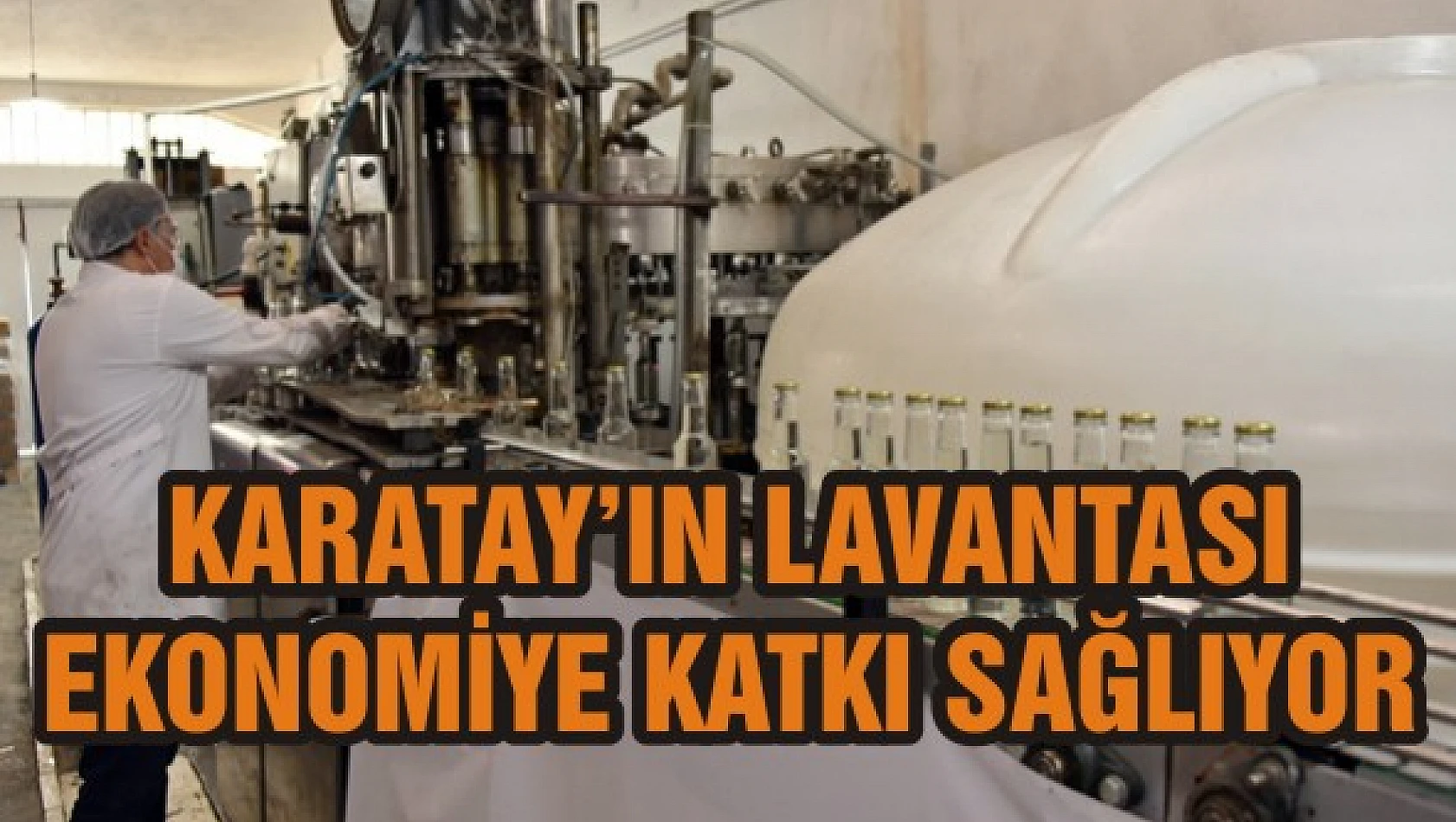 Karatay'ın lavantası ekonomiye katkı sağlıyor