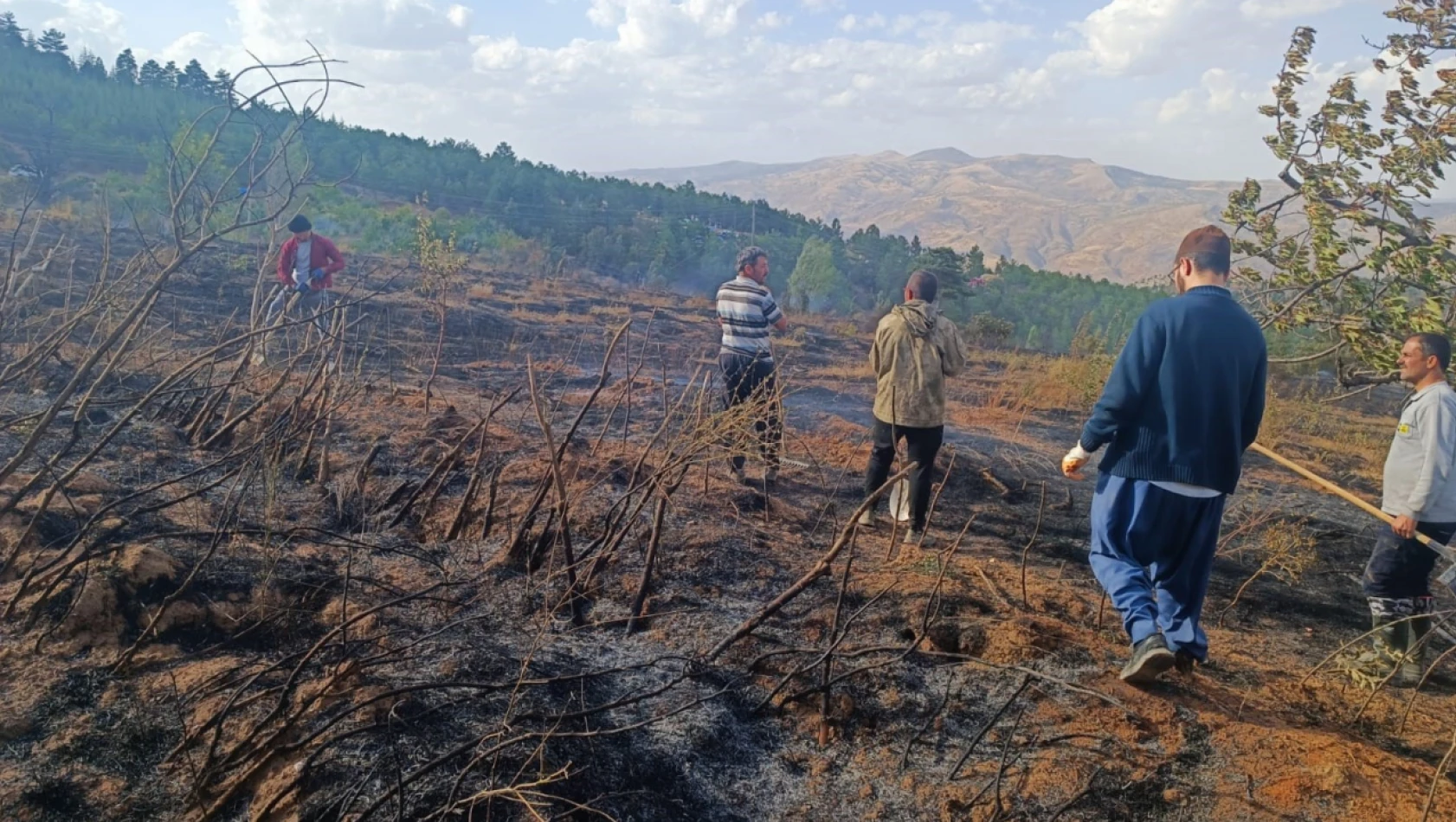 Konya'da Orman Yangını!