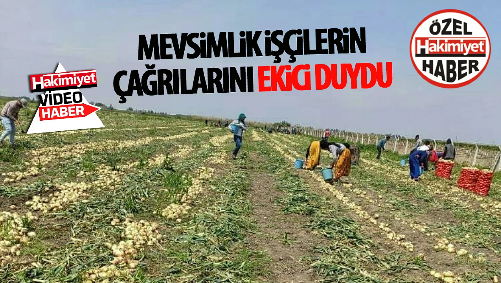 Mevsimlik işçilerin çağrılarına vekil Ekici'den destek: 'Türkiye yüzyılında mevsimlik işçilerimizin bu şartlarda çalışması Türkiye'ye yakışmıyor'