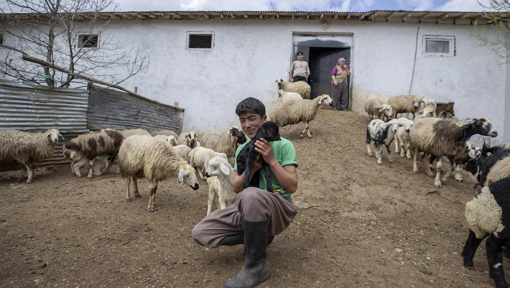 Tunceli' de köylüler, baharın müjdecisi oğlak ve kuzularıyla ilgileniyor
