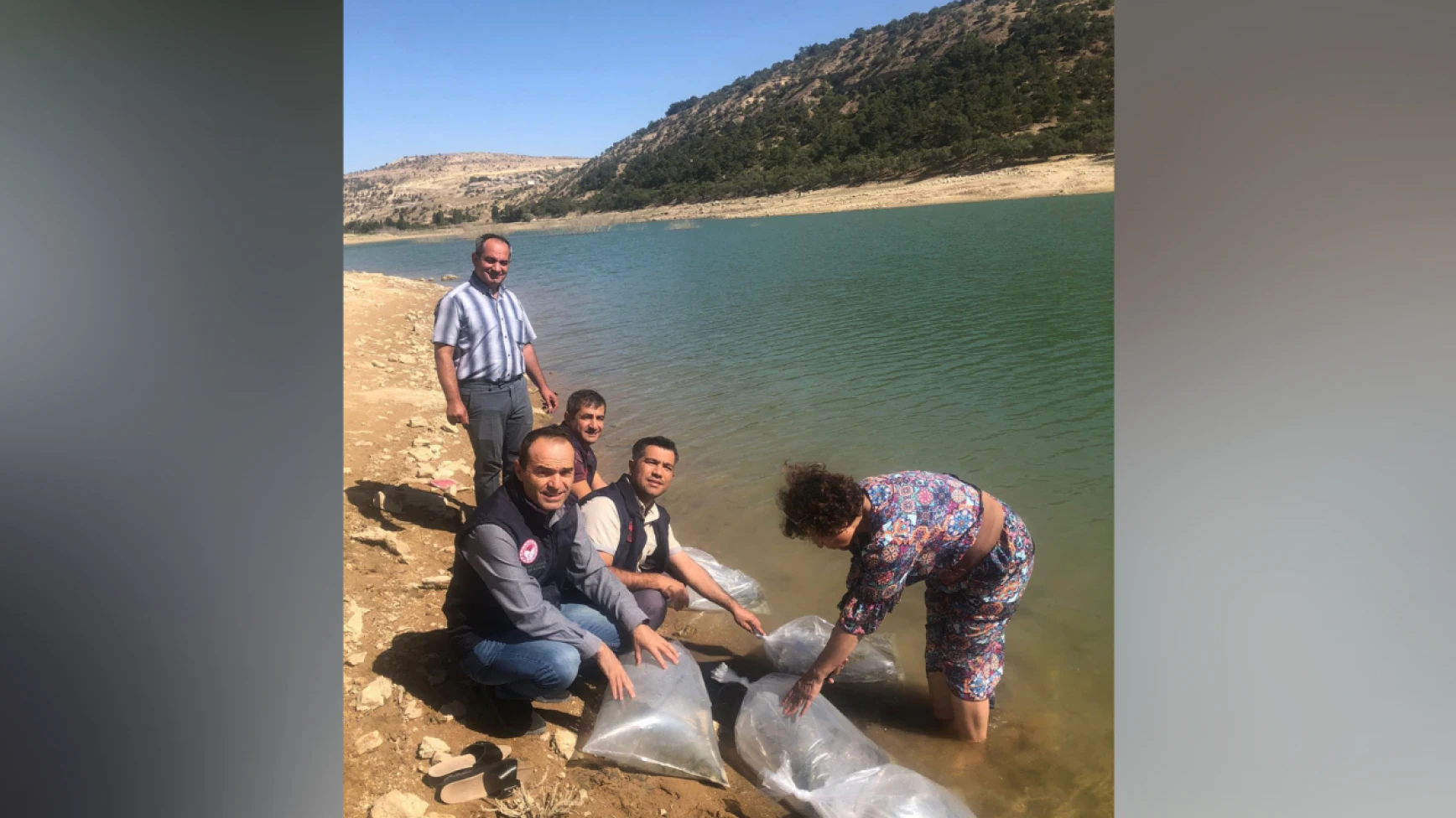 Karaman'da o gölet barajına 20 bin balık yavrusu bırakıldı