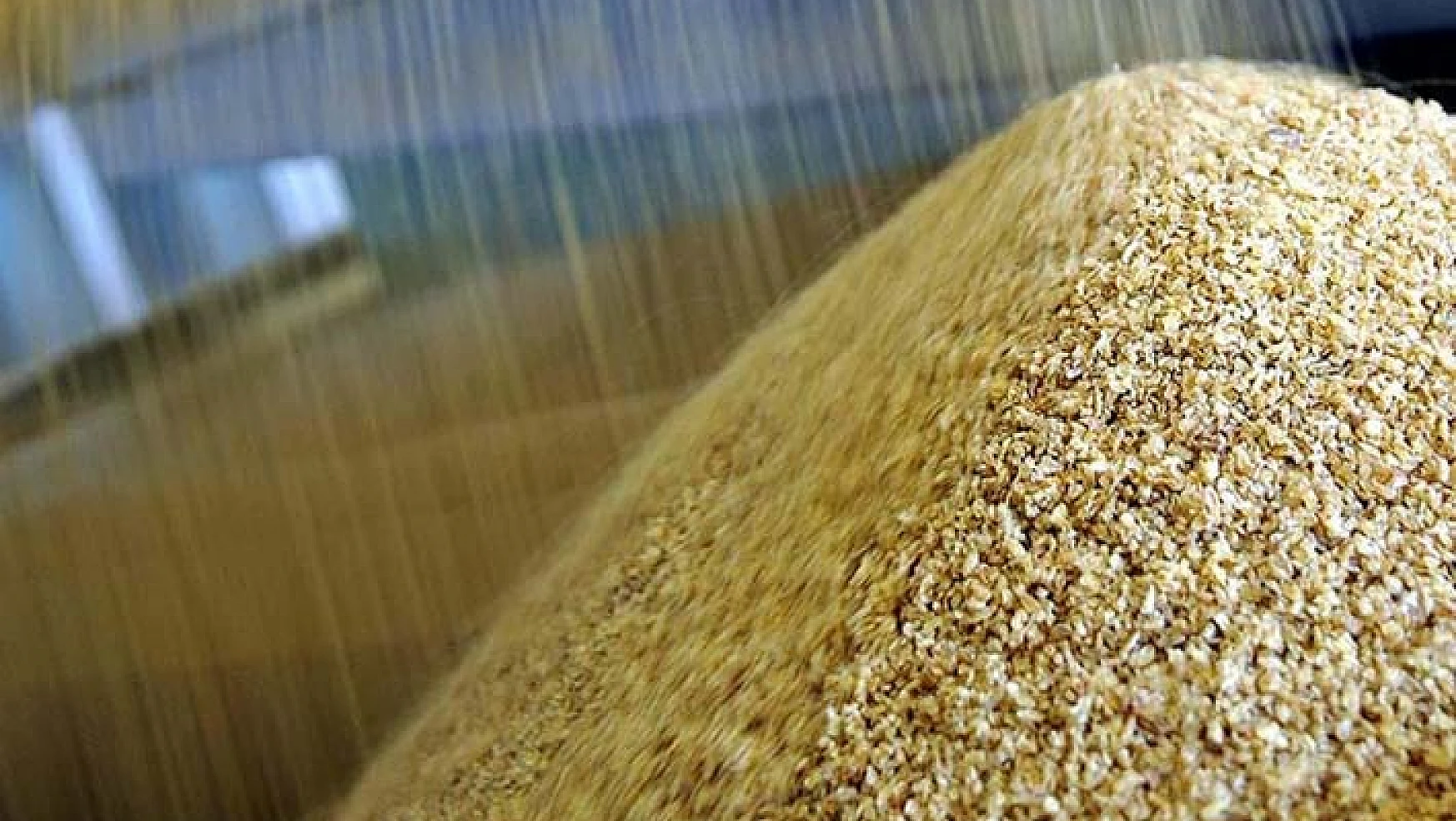 300 bin ton buğday ithalatı planını onayladı