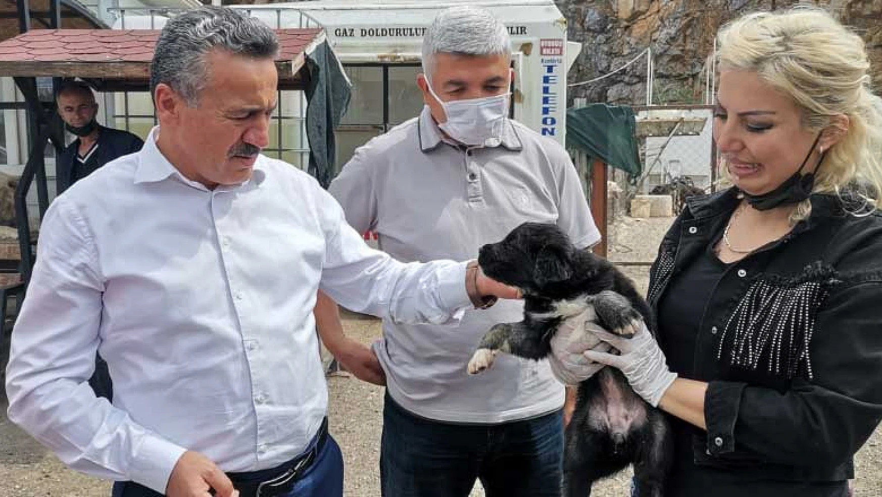 Başkan Tutal şikayetlere duyarsız kalmadı! Seydişehir'e modern hayvan barınağı yapılacak