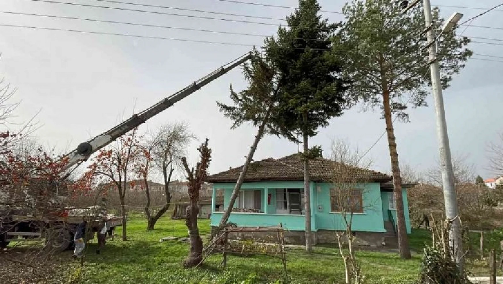 Lodos nedeniyle kökünden kırılan ağaç eve devrilmeden kurtarıldı