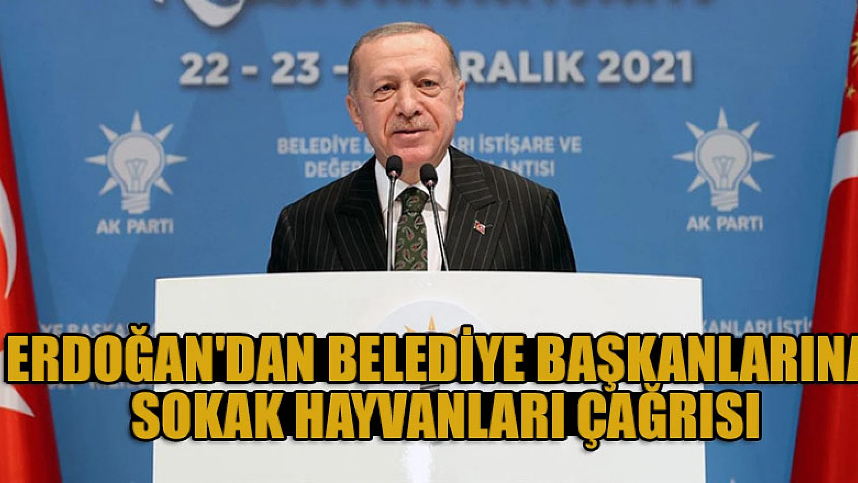 Cumhurbaşkanı Erdoğan'dan belediye başkanlarına sokak hayvanları çağrısı