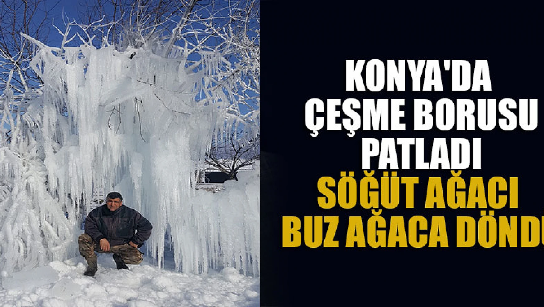 Konya'da çeşme borusu patladı söğüt ağacı buz ağaca döndü