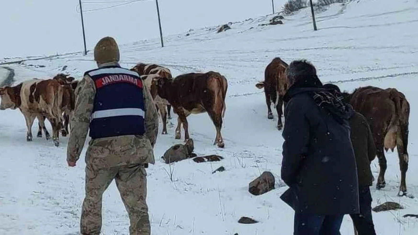Ardahan'da hayvan otlatırken kaybolan yaşlı kadın bulundu