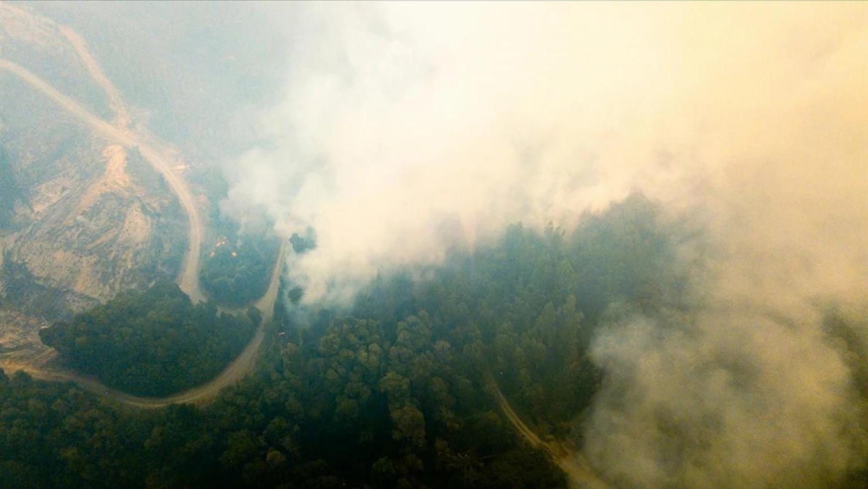 Arjantin'de orman yangınları