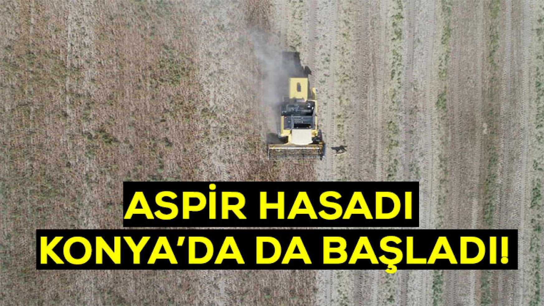 Aspir Hasadı Konya'da da başladı!