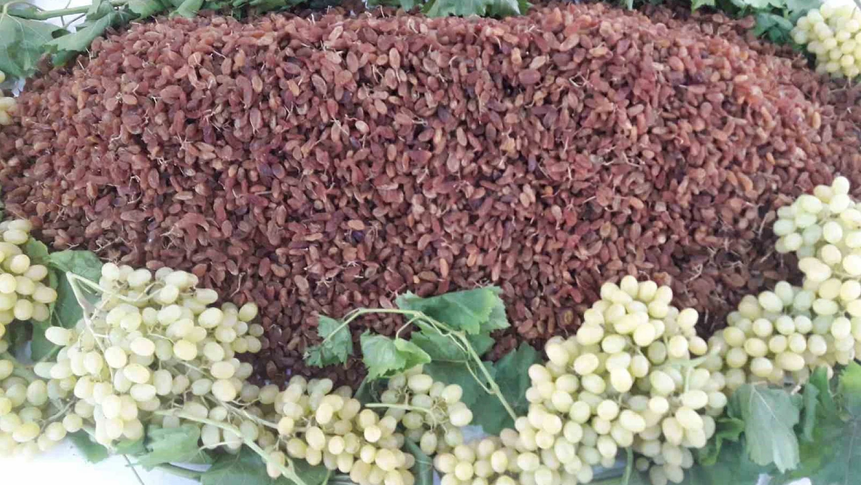 Çekirdeksiz kuru üzüm ihracatında Türkiye, miktar azalışına rağmen döviz gelirini artırdı