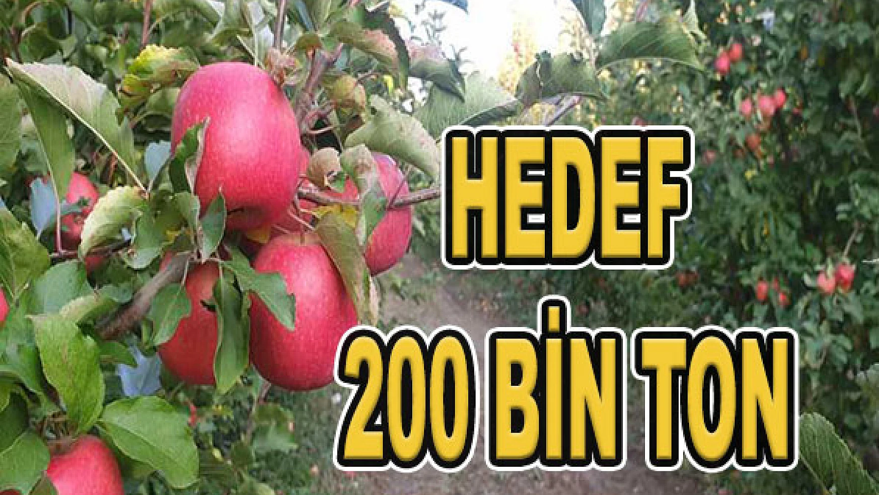 Hedef 200 bin ton elma