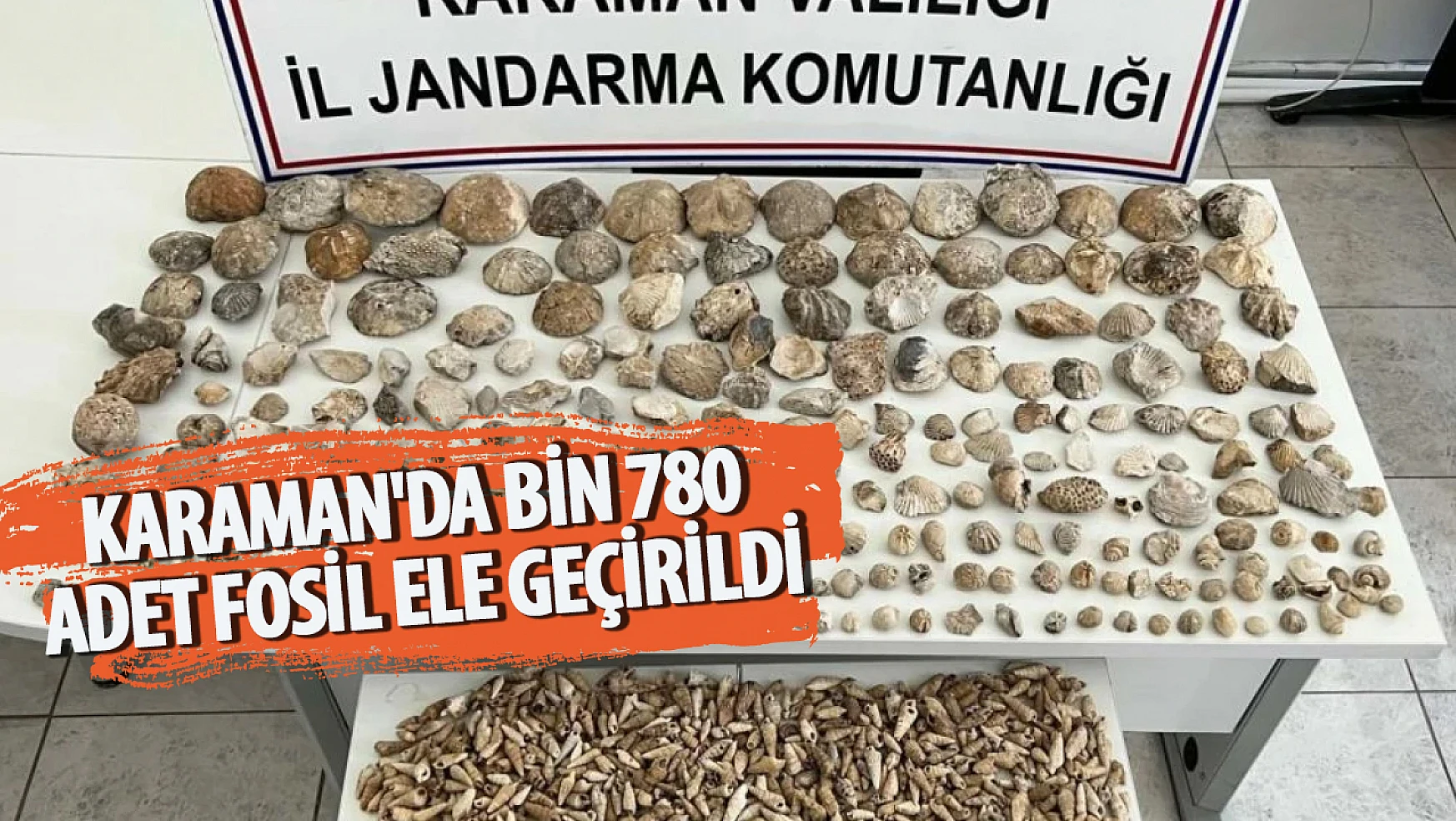 Karaman'da bin 780 adet fosil ele geçirildi