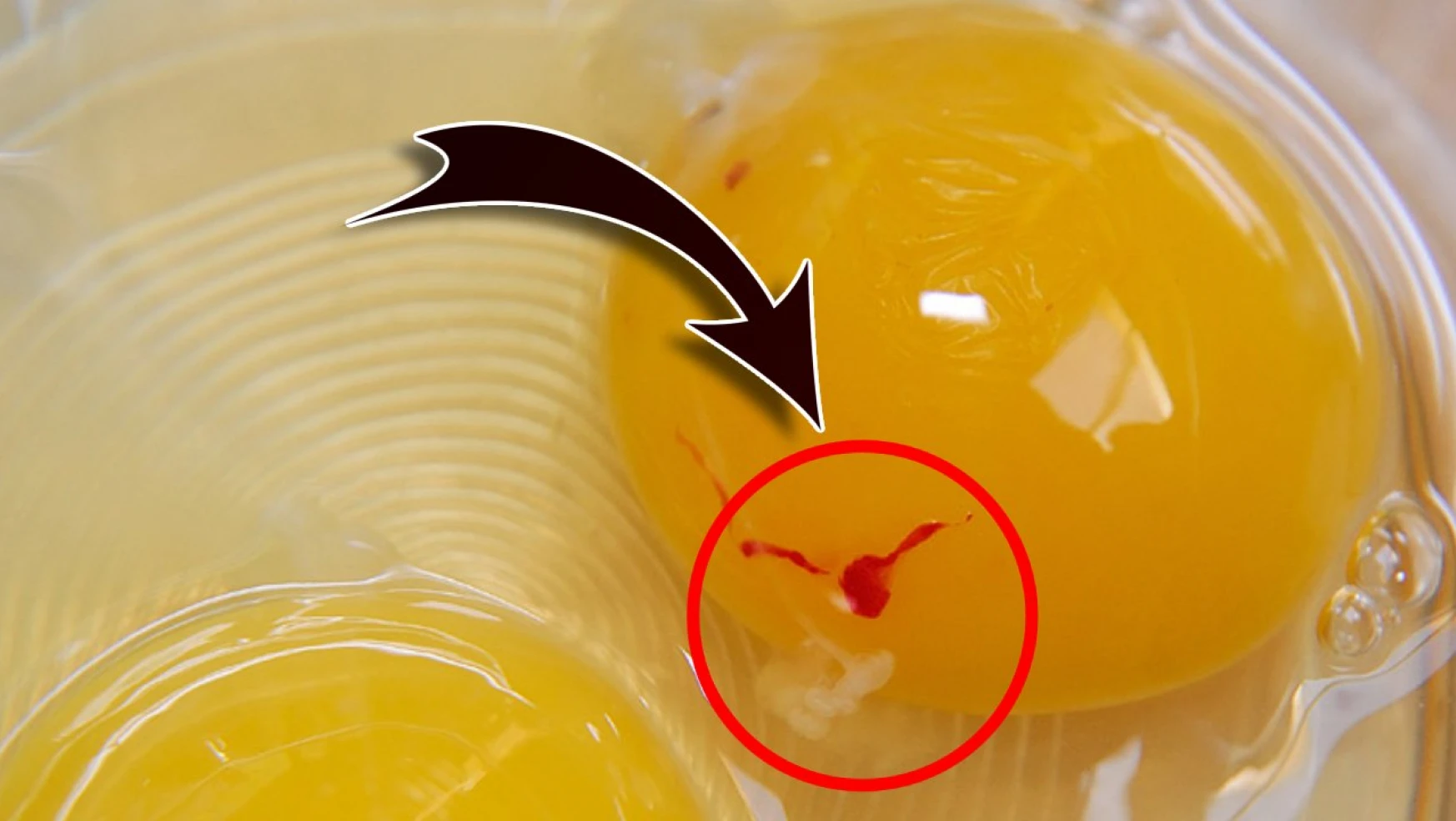 Kırmızı lekeli yumurta yenir mi? Uzmanlar açıkladı! Bugüne kadar tersini yapmış olabilirsiniz