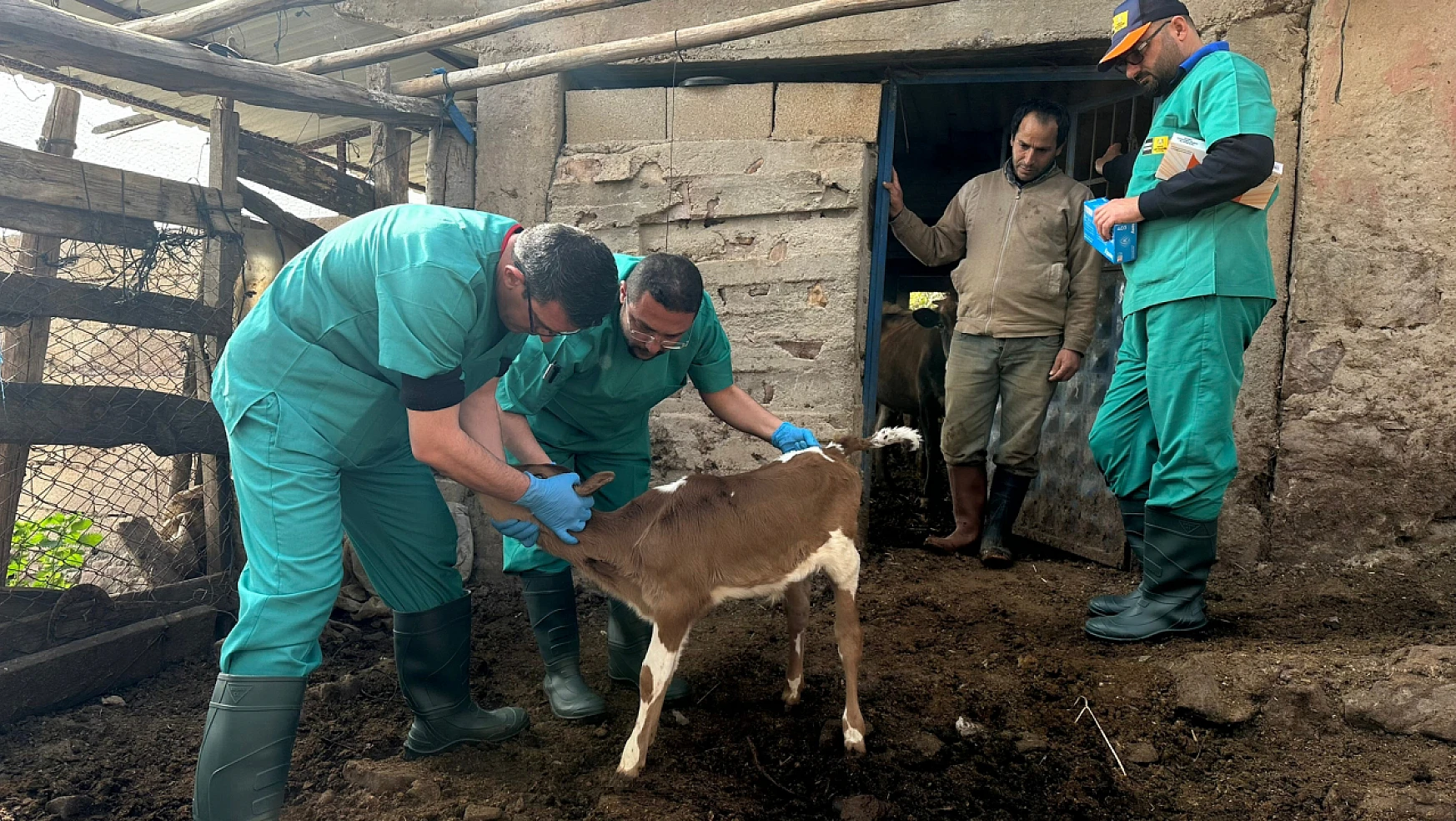 Konya Büyükşehir Hatay'daki üreticilerin hayvanlarına muayene hizmeti veriyor