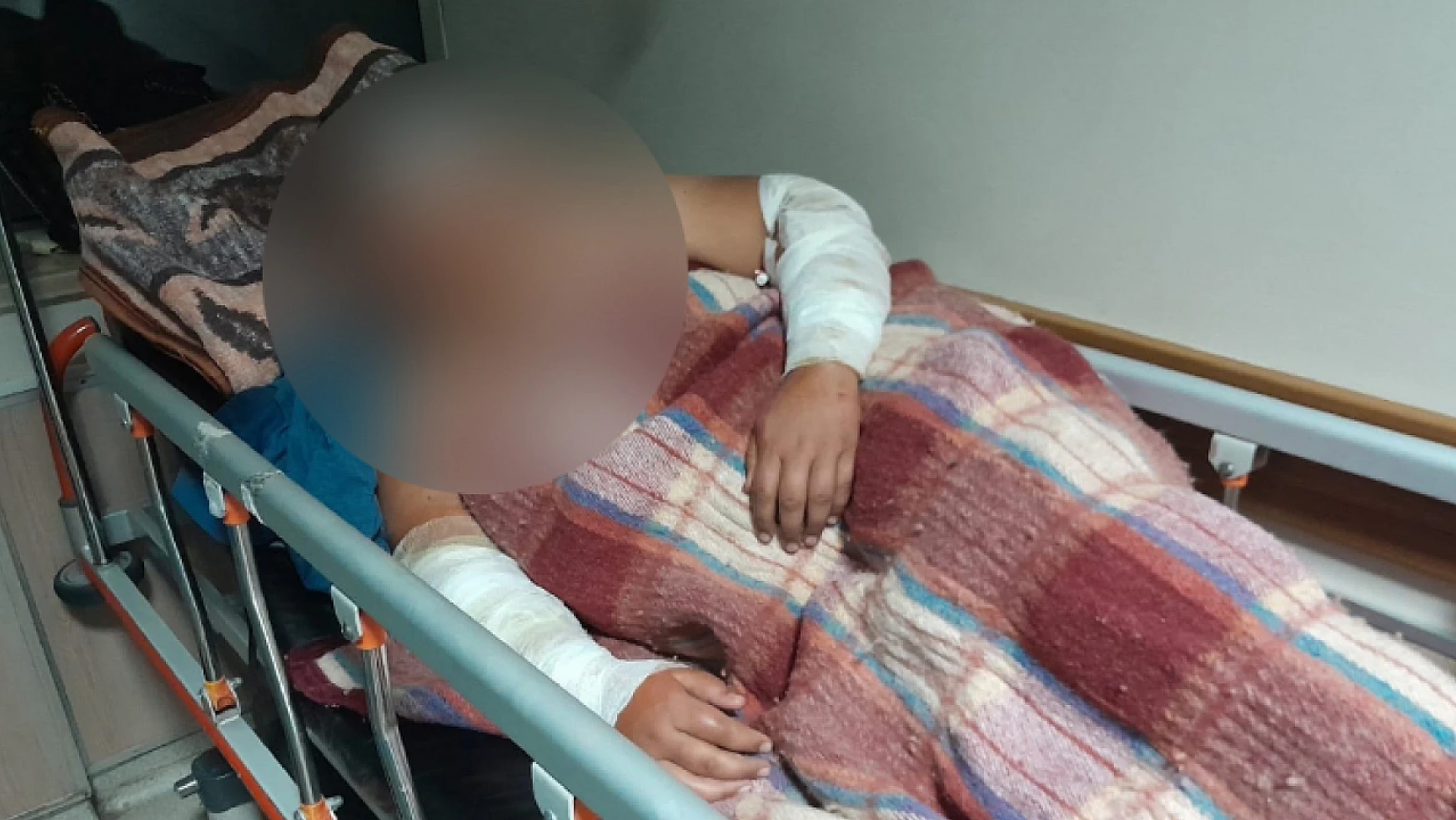 Konya'da 12 yaşındaki çocuğa köpekler saldırdı! Bakın kurtaran kim oldu...