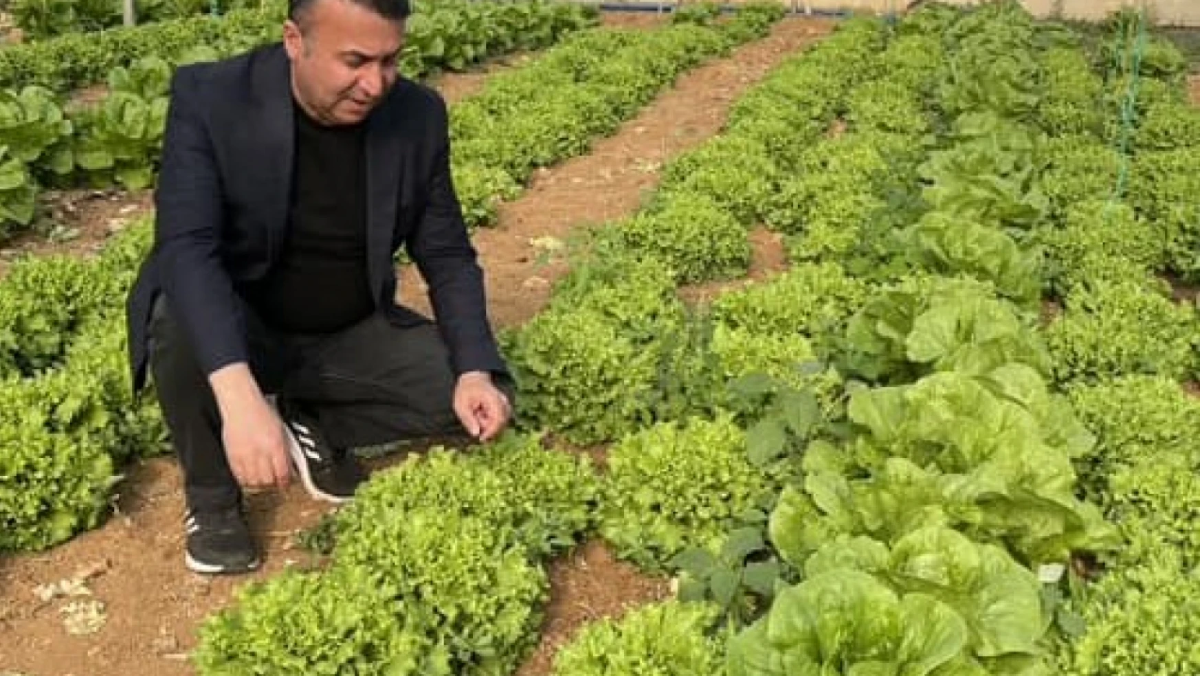 Konya'da sebze ve meyve üretim alanlarında kontroller sürüyor