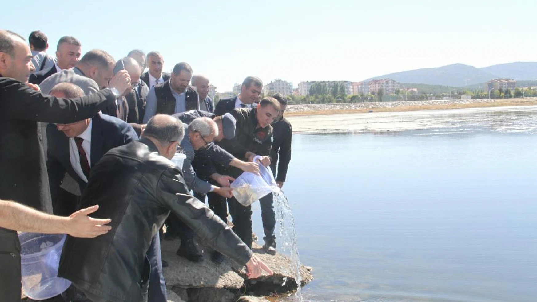 Konya'nın göl ve göletlerine yavru sazan balığı salındı