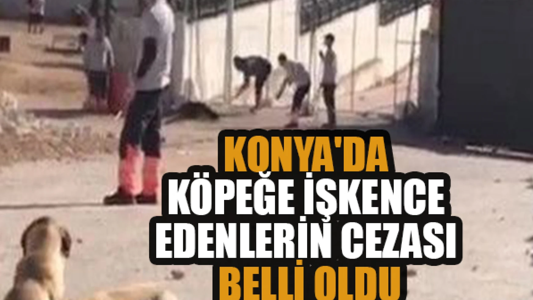 Konya'da köpeğe işkence edenlerin cezası belli oldu